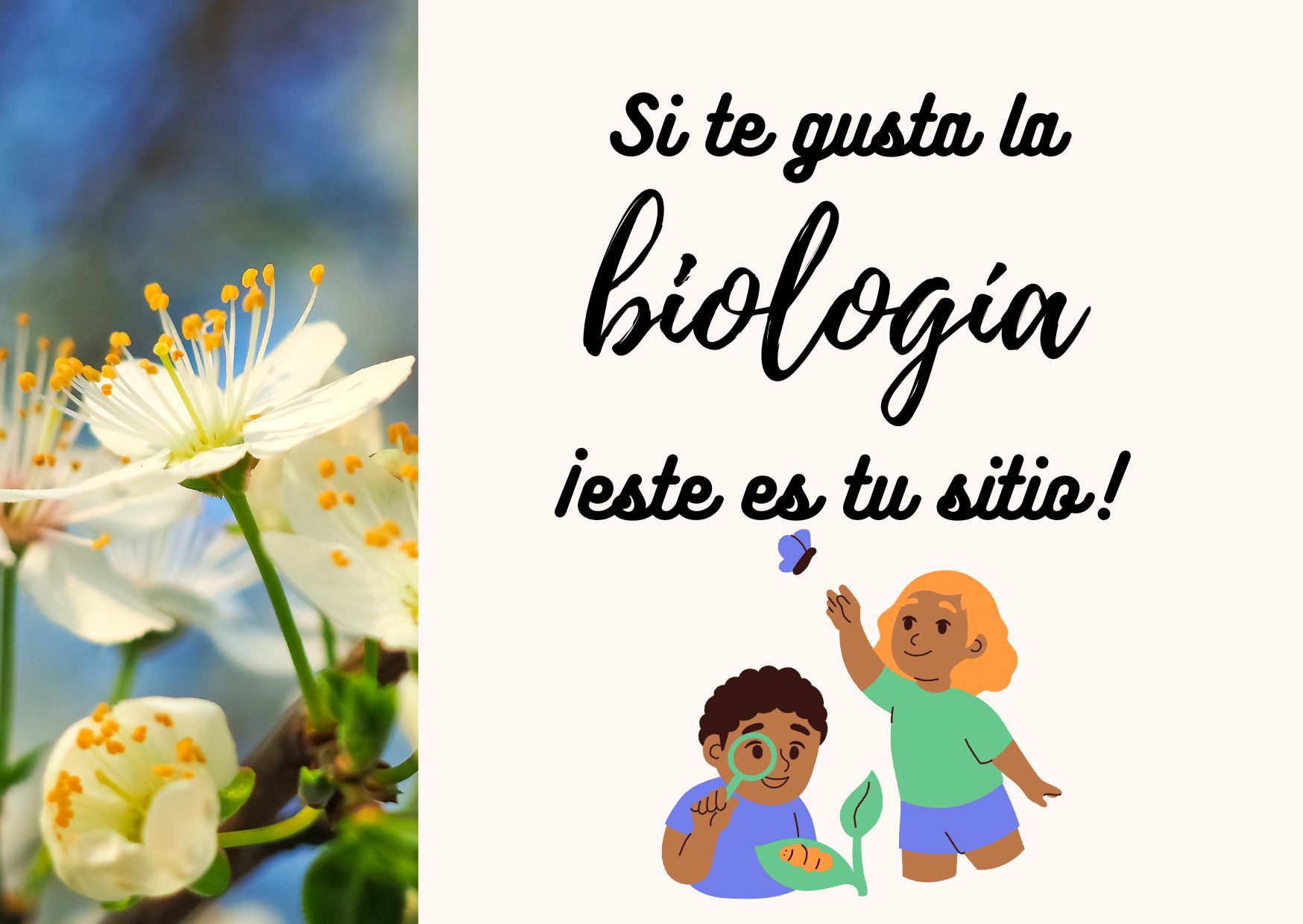 (Por favor, desechar en el lugar adecuado tras consumir) 2