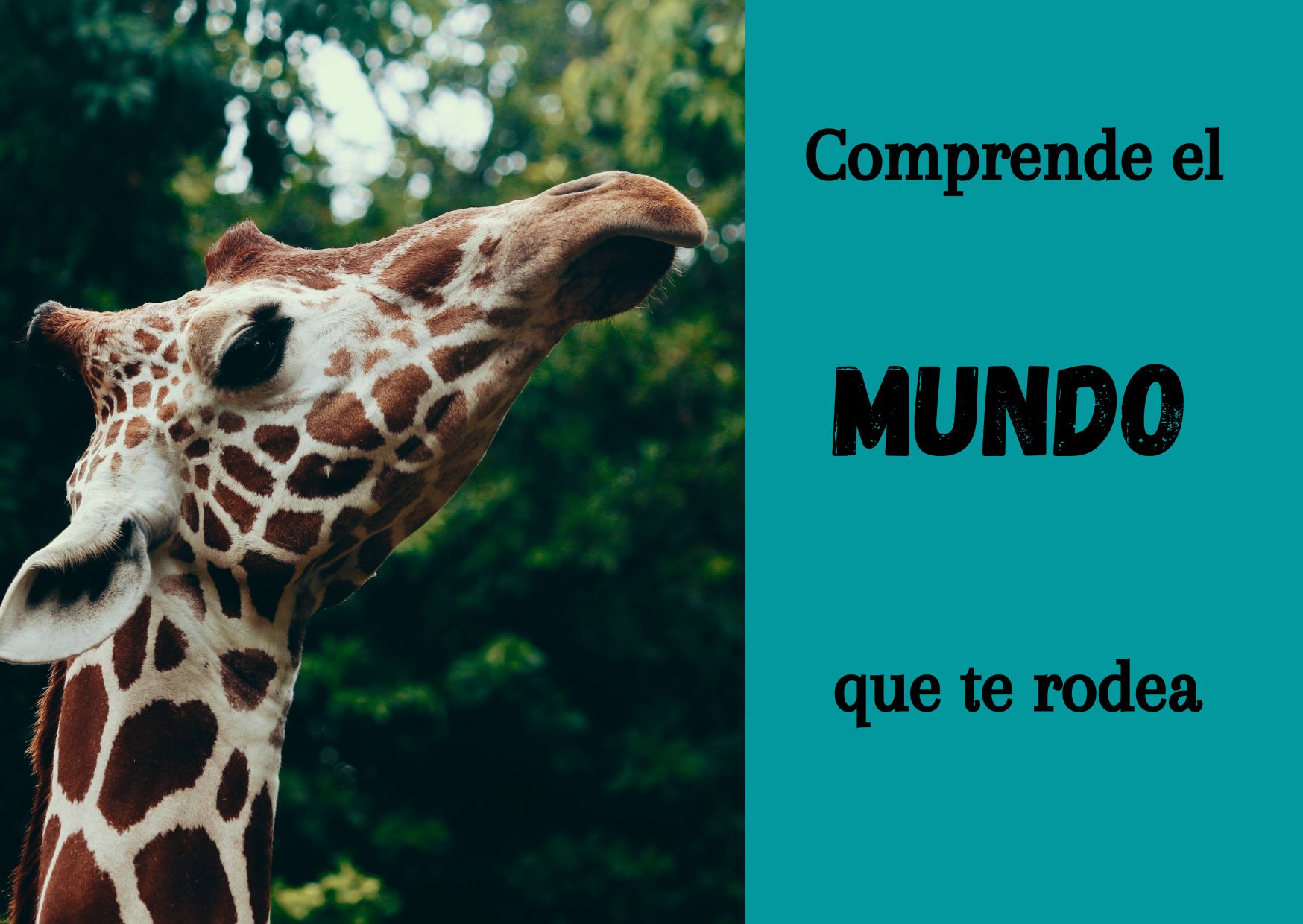 (Por favor, desechar en el lugar adecuado tras consumir) 3